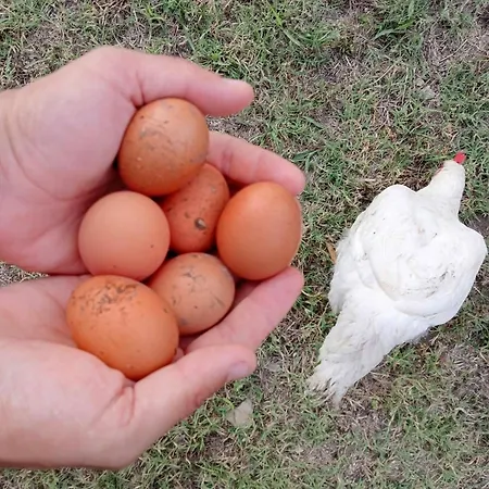 Borgo Santa Lucia Alloggio per agriturismo