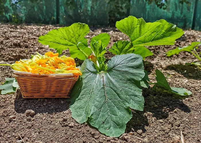 Borgo Santa Lucia Alloggio per agriturismo