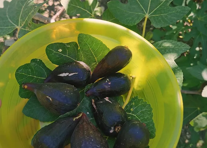 Borgo Santa Lucia Alloggio per agriturismo *