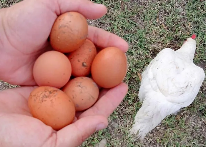 Borgo Santa Lucia Alloggio per agriturismo