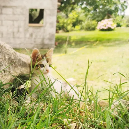 Borgo Santa Lucia * Cropani