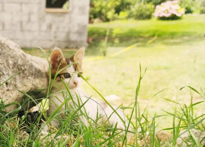 Borgo Santa Lucia * 克洛帕尼